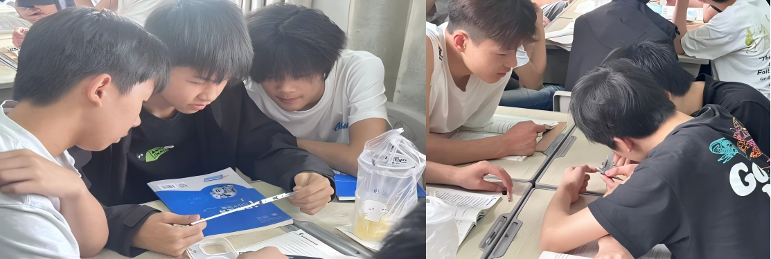 WPS拼图2.png
